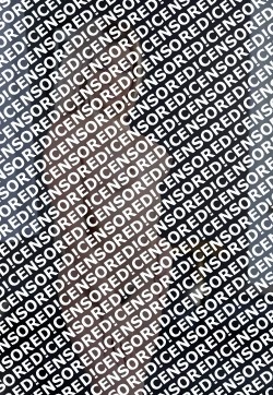 Teddy bear - Escort lady Denver CO 2