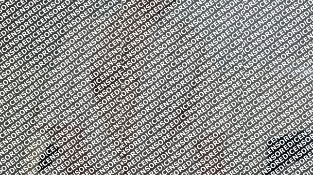 Juliette Breanne - Escort lady Little Rock AR 2