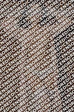 Alissa - Escort lady Ulm 7