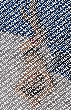 Melisa - Escort lady Graz 3