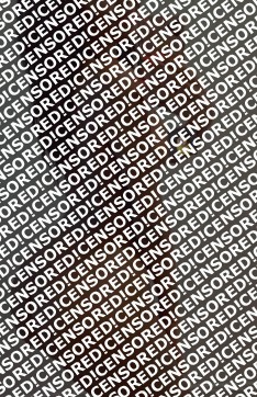 Lunar ebony - Escort lady Guangzhou 4