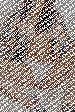 Anna - Escort lady York 2