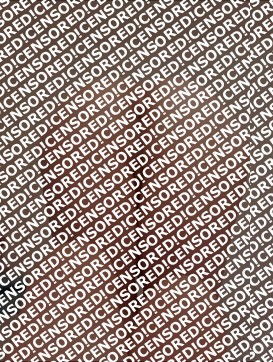 ASIAN HAMBER - Escort trans Hamburg 6