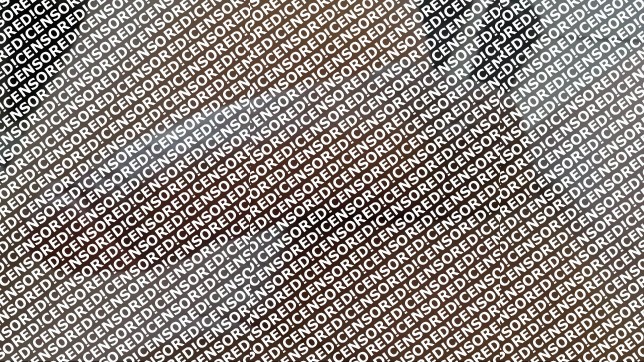 ASIAN HAMBER - Escort trans Hamburg 7