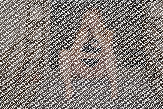 Kylie Jade - Escort lady Austin TX 12