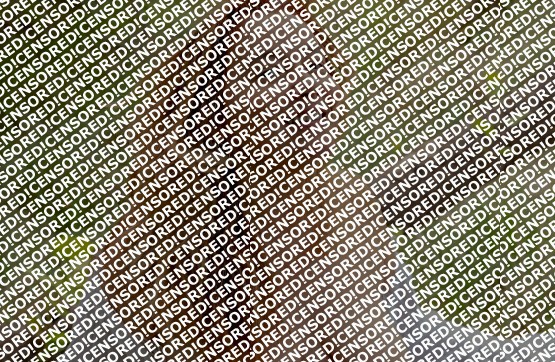 Kylie Jade - Escort lady Austin TX 17