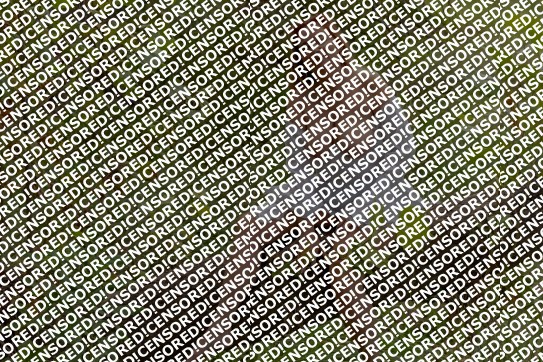 Kylie Jade - Escort lady Austin TX 18