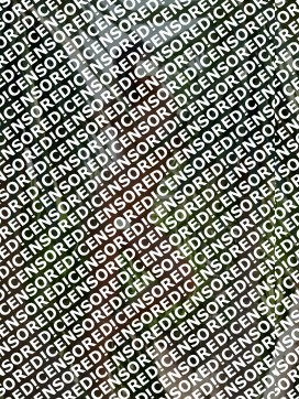 Carla - Escort lady Cologne 3