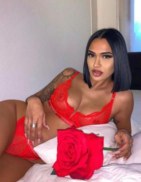 arina - Escort lady Cairo 3