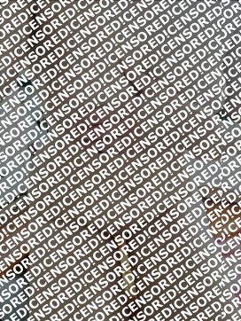 Luna Love - Escort lady Berlin 2