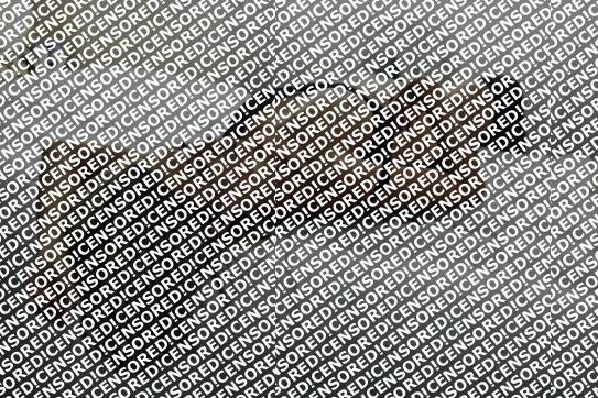 Sofia - Escort lady Frankfurt 4