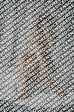 Sofia - Escort lady Frankfurt 8