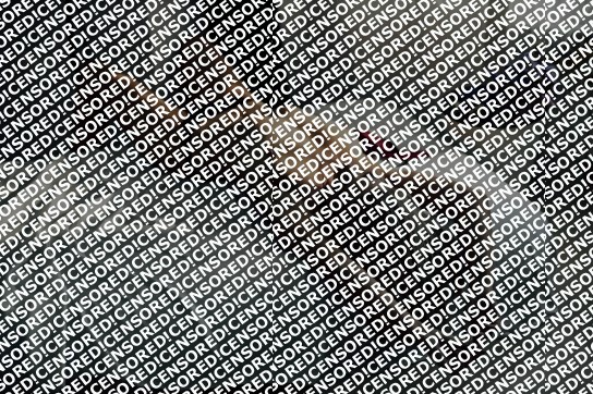 Sofia - Escort lady Frankfurt 9