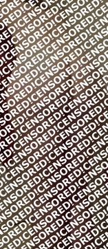 Laura - Escort lady Angers 6