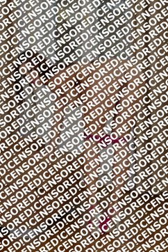 Geeta Grewal - Escort lady Delhi 2