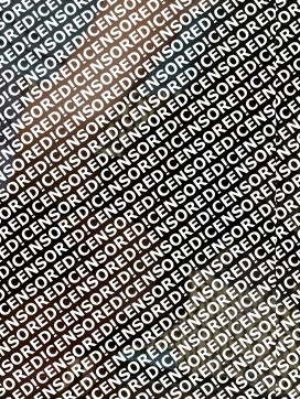 ChillyDilara - Escort lady Hamburg 3