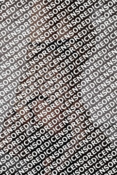 Jasmin-FAME ESCORT - Escort lady Berlin 2