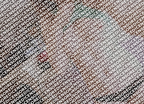 harley - Escort lady Zurich 2