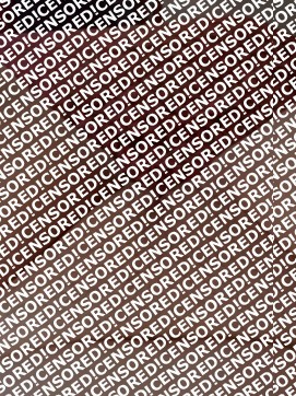 Vanessa - Escort lady Dallas 4