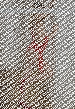 Lisi Loh - Escort lady Erlangen 5