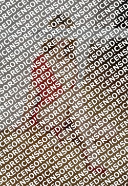 Lisi Loh - Escort lady Erlangen 7