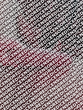 Mister and Mister - Escort gay Las Vegas 3