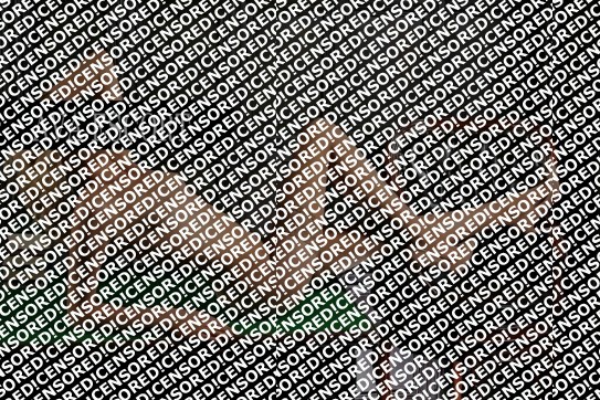 Charlotte - Escort lady Leipzig 4