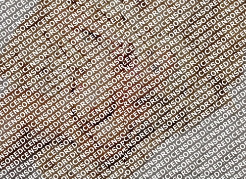 Antonia - Escort lady Munich 3