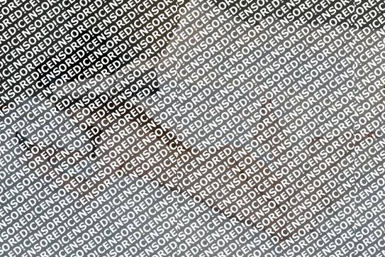 Johanna Fox - Escort lady Frankfurt 10