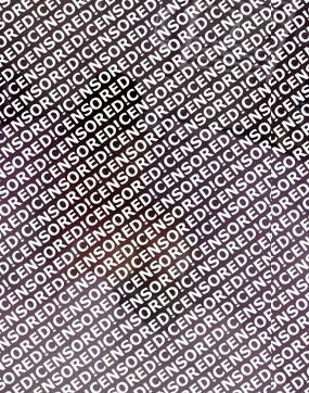 Jessica - Escort lady Flensburg 3