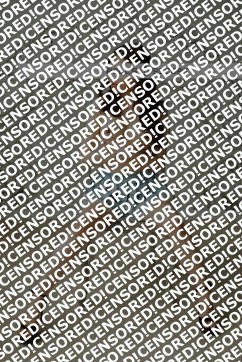 Feifei Mang - Escort lady Hanover 2