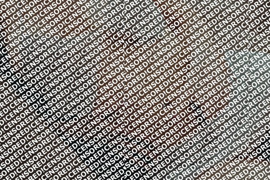 Anastasia  und Pearl - Escort couple Hanover 7