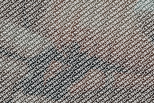 Anastasia  und Pearl - Escort couple Hanover 8