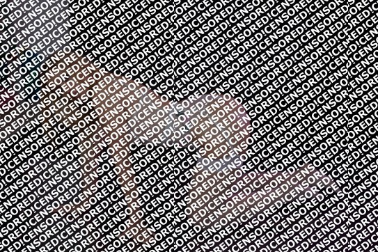 Angela - Escort lady Paris 7