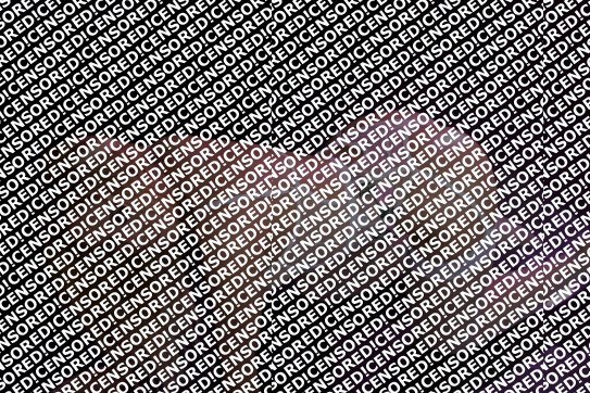 Angela - Escort lady Paris 8