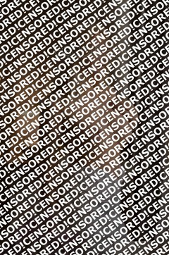 Mira - Escort lady Munich 3