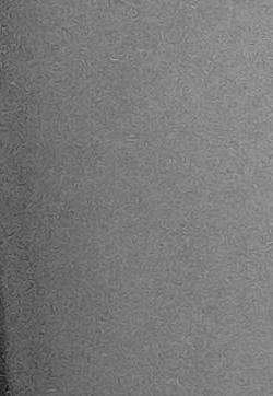 Scarlett Rain - Escort ladies Santa Cruz CA 1