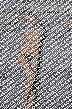 Sophia Staller - Escort lady Munich 4