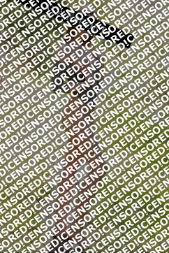 Aileen - Escort lady Munich 3