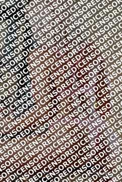 Melek - Escort lady Coventry 3