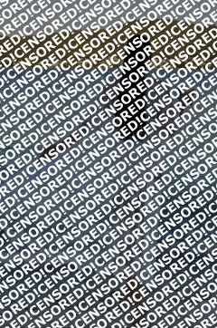 Christina Escort Frankfurt - Escort lady Frankfurt 13