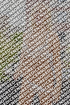 Liv - Escort lady Hanover 3