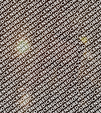 Valentina - Escort lady Vienna 6