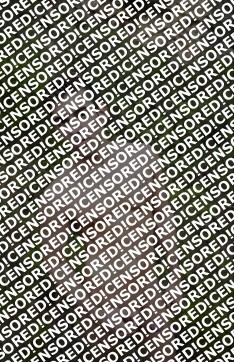 David - Escort gay Berlin 2