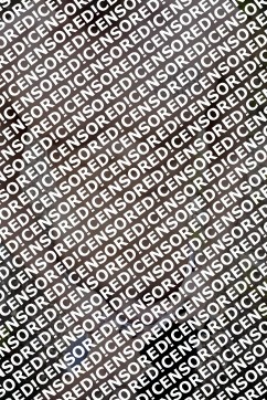 David - Escort gay Berlin 4