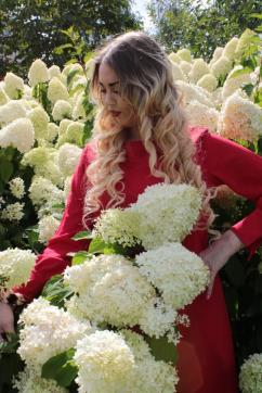 Viktoria - Escort lady Moscow 6