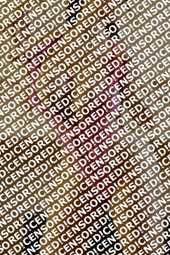 Lilly - Escort lady Toronto 2