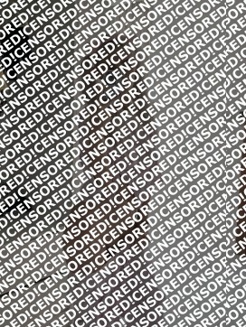 Eva - Escort lady Amsterdam 4