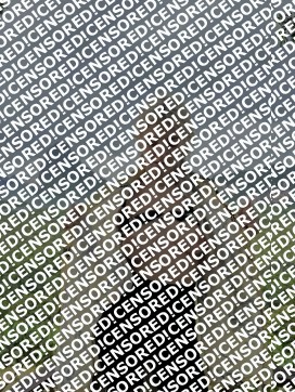 Eva - Escort lady Amsterdam 5