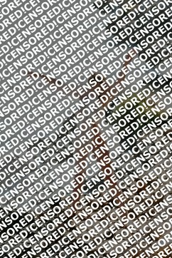 Fabienne - Sweet Passion Escort - Escort lady Kaiserslautern 8